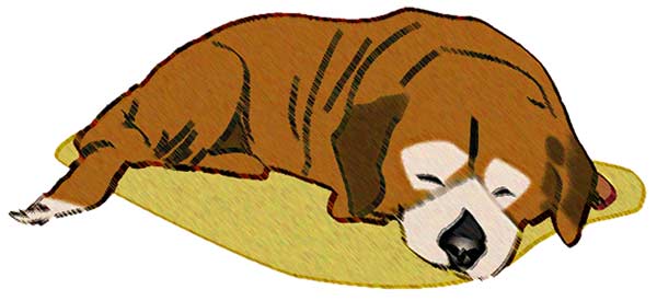 Illustration of Ginger, the Dog