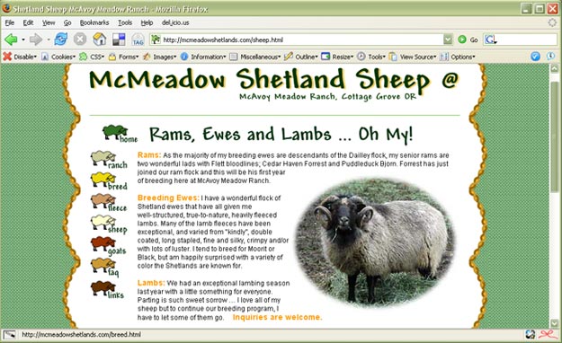 McMeadow Shetland Sheep